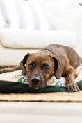 Load image into Gallery viewer, Astrid Dog Bed
