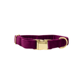 Load image into Gallery viewer, August Dog Collar
