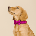 Load image into Gallery viewer, August Dog Bow Tie
