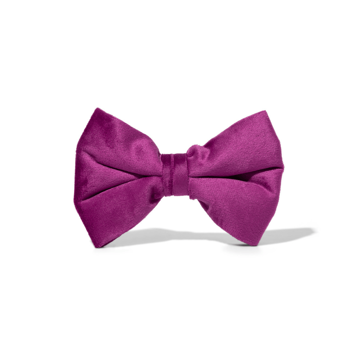 August Dog Bow Tie