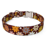 Autumn Flowers Dog Collar
