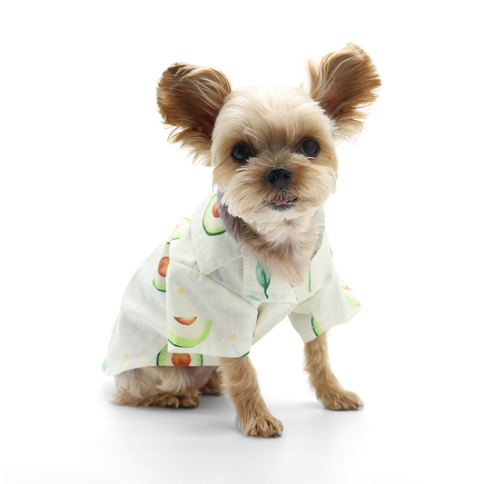 Avocado Shirt