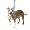 Load image into Gallery viewer, Reflective Black Freedom No-Pull Dog Harness
