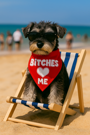 Parisian Pet 'Bitches Love Me' Bandana - Stylish, Comfortable, Trendy Red Bandana for Dogs & Cats, Fun Pet Fashion Accessory
