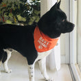 Load image into Gallery viewer, Parisian Pet 'Best Friend' Bandana - Comfortable, Trendy, Fashionable Orange Pet Bandana for Dogs & Cats, Fun Pet Accessory
