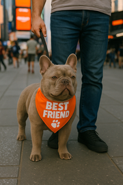 Parisian Pet 'Best Friend' Bandana - Comfortable, Trendy, Fashionable Orange Pet Bandana for Dogs & Cats, Fun Pet Accessory