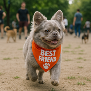 Parisian Pet 'Best Friend' Bandana - Comfortable, Trendy, Fashionable Orange Pet Bandana for Dogs & Cats, Fun Pet Accessory