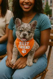 Parisian Pet 'Best Friend' Bandana - Comfortable, Trendy, Fashionable Orange Pet Bandana for Dogs & Cats, Fun Pet Accessory