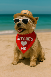 Parisian Pet 'Bitches Love Me' Bandana - Stylish, Comfortable, Trendy Red Bandana for Dogs & Cats, Fun Pet Fashion Accessory