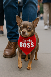 Parisian Pet 'I'm The Boss' Bandana for Dogs & Cats - Trendy, Comfortable, Funny Red Pet Bandana, Fashionable Dog & Cat Accessory