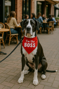 Load image into Gallery viewer, Parisian Pet 'I'm The Boss' Bandana for Dogs & Cats - Trendy, Comfortable, Funny Red Pet Bandana, Fashionable Dog & Cat Accessory
