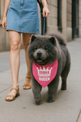 Load image into Gallery viewer, Parisian Pet 'Drama Queen' Bandana for Dogs & Cats - Fashionable, Comfortable, Fun Pink Dog & Cat Bandana, Trendy Pet Accessory
