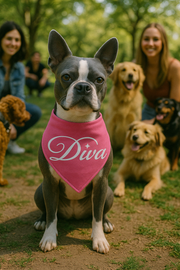 Parisian Pet 'Diva' Bandana for Dogs & Cats - Stylish, Comfortable, Pink Fashionable Dog Bandana, Trendy Pet Accessory