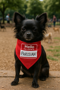 Load image into Gallery viewer, Red bandana for pets featuring "Hello my name is PARISIAN" text, worn by a small black dog in a park setting.
