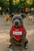 Load image into Gallery viewer, Red bandana for pets with "Hello My Name Is" tag, worn by a seated dog in a park setting. Ideal for dogs and cats.
