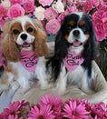 Load image into Gallery viewer, Parisian Pet 'Pretty Girl' Bandana - Fashionable, Comfortable Pink Pet Bandana for Dogs & Cats, Trendy Pet Fashion Accessory
