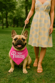 Parisian Pet 'Princess' Bandana for Dogs & Cats - Stylish, Trendy, Comfortable Pink Dog Bandana for Special Occasions