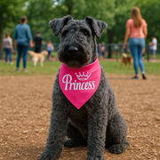 Parisian Pet 'Princess' Bandana for Dogs & Cats - Stylish, Trendy, Comfortable Pink Dog Bandana for Special Occasions