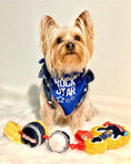 Load image into Gallery viewer, Parisian Pet 'Rock Star' Bandana for Dogs & Cats - Fashionable, Comfortable Blue Pet Bandana for Trendy Pets
