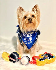 Parisian Pet 'Rock Star' Bandana for Dogs & Cats - Fashionable, Comfortable Blue Pet Bandana for Trendy Pets