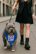 Load image into Gallery viewer, Parisian Pet 'Rock Star' Bandana for Dogs & Cats - Fashionable, Comfortable Blue Pet Bandana for Trendy Pets
