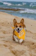 Load image into Gallery viewer, Parisian Pet 'Born to Run' Bandana - Fashionable, Soft, Comfortable Yellow Bandana for Dogs & Cats
