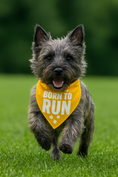 Load image into Gallery viewer, Parisian Pet 'Born to Run' Bandana - Fashionable, Soft, Comfortable Yellow Bandana for Dogs & Cats
