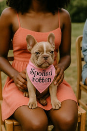 Parisian Pet 'Spoiled Rotten' Bandana for Dogs & Cats - Trendy, Comfortable, Funny Pink Dog Bandana