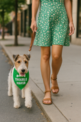 Load image into Gallery viewer, Parisian Pet 'Trouble Maker' Bandana for Dogs & Cats - Fun, Comfortable, Trendy Green Pet Fashion Accessory-Saint Patrick's Day
