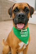 Load image into Gallery viewer, Parisian Pet 'Trouble Maker' Bandana for Dogs & Cats - Fun, Comfortable, Trendy Green Pet Fashion Accessory-Saint Patrick's Day
