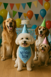 Parisian Pet 'Birthday Boy' Dog Bandana – Happy Birthday Pet Outfit, Fun Party Scarf for Dogs & Cats, Stylish & Comfy Celebration Clothing, Blue