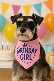 Parisian Pet 'Birthday Girl' Dog Bandana – Happy Birthday Pet Outfit, Party Scarf for Dogs & Cats, Perfect Gift & Accessories, Pink