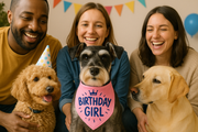 Parisian Pet 'Birthday Girl' Dog Bandana – Happy Birthday Pet Outfit, Party Scarf for Dogs & Cats, Perfect Gift & Accessories, Pink