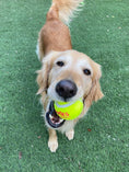 Load image into Gallery viewer, Happy Tennis Ball
