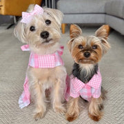 Gingham Picnic Dress