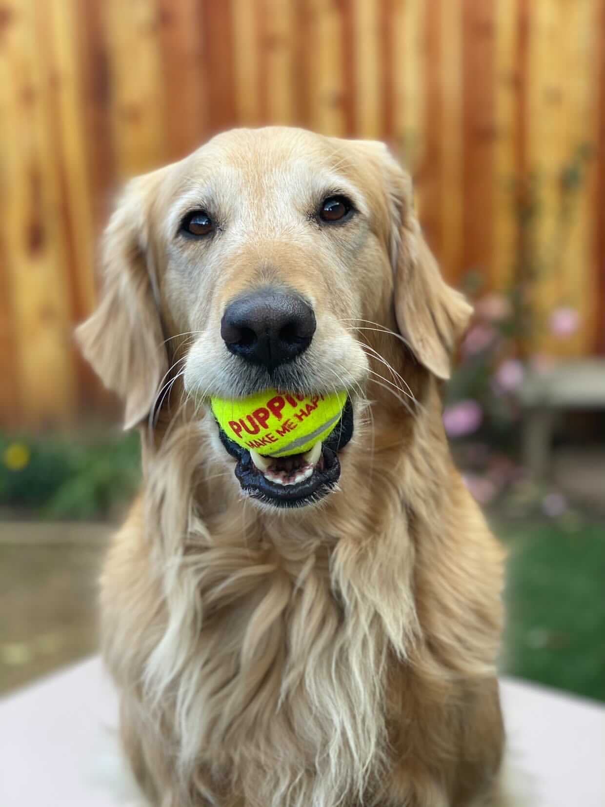 Happy Tennis Ball