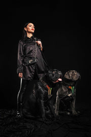 The ''D`Albertis'' harness LIMITED 