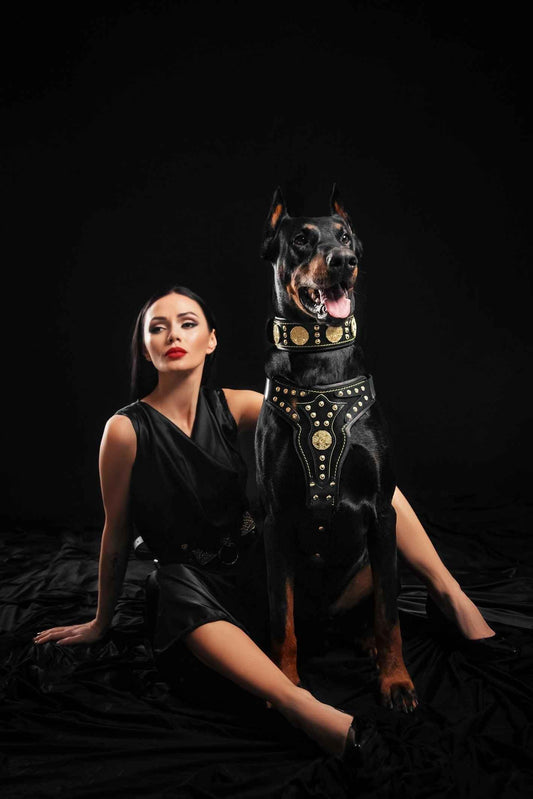 The "Maximus" Dogs and pets harness V2