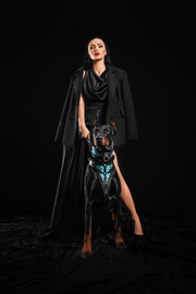 The ''Morelia Python'' harness 