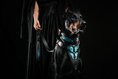 Load image into Gallery viewer, The ''Morelia Python'' harness
