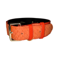 Load image into Gallery viewer, The Perfect Orange Classic Collar
