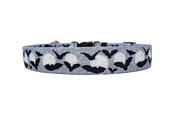 Moon Black and White with Bats Dog Collar