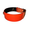 Load image into Gallery viewer, The Perfect Orange Classic Collar
