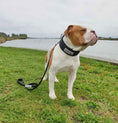 Load image into Gallery viewer, BESTIA DOG SPORT TACTICAL LEASH

