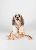 Load image into Gallery viewer, Check Me Out Adjustable Harness

