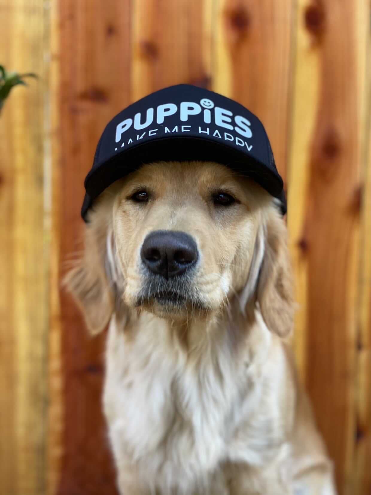 Company Cap | Anniversary Trucker