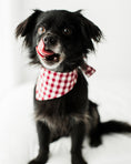 Load image into Gallery viewer, GINGHAM BANDANA - Southlake Paws
