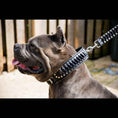 Load image into Gallery viewer, The ''Steampunk'' collar exclusive design
