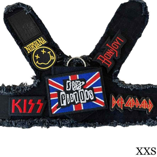 Pistols Harness