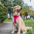 Load image into Gallery viewer, Pink Dog Leash by EcoBark - Padded Comfort Grip Leash - 4ft, 5ft, and 6ft Leash for Teacup, Small, and Medium Dogs
